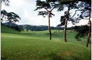 東武藤が丘カントリー倶楽部のコース風景