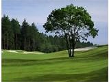 オールドオーチャードゴルフクラブ　【ＰＧＭ】のコース風景