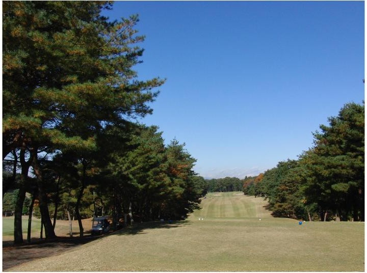 芳賀カントリークラブのコース風景