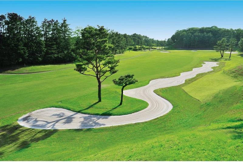 こだまゴルフクラブのコース風景