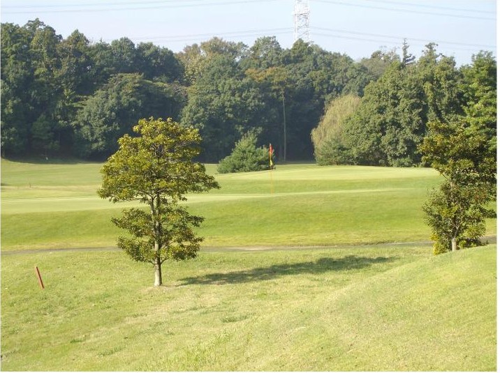 野田市パブリックゴルフ場けやきコースのコース風景
