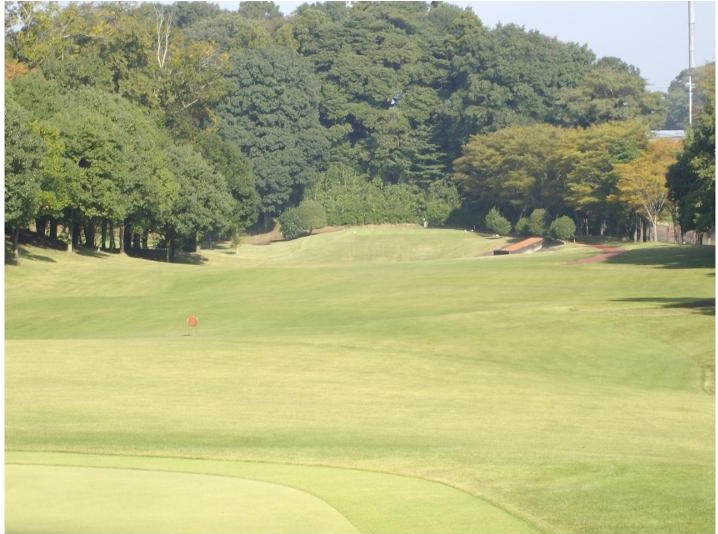 野田市パブリックゴルフ場けやきコースのコース風景
