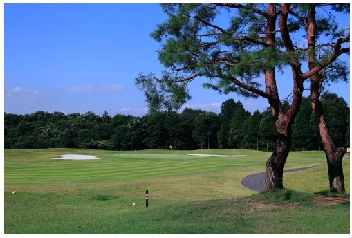 津久井湖ゴルフ倶楽部のコース風景