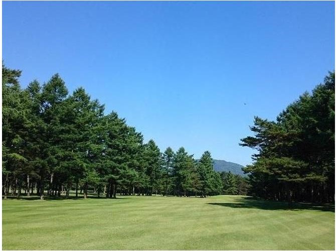 晴山ゴルフ場のコース風景