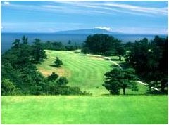 川奈ホテルゴルフコース　大島コースのコース風景
