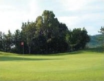四国カントリークラブのコース全景