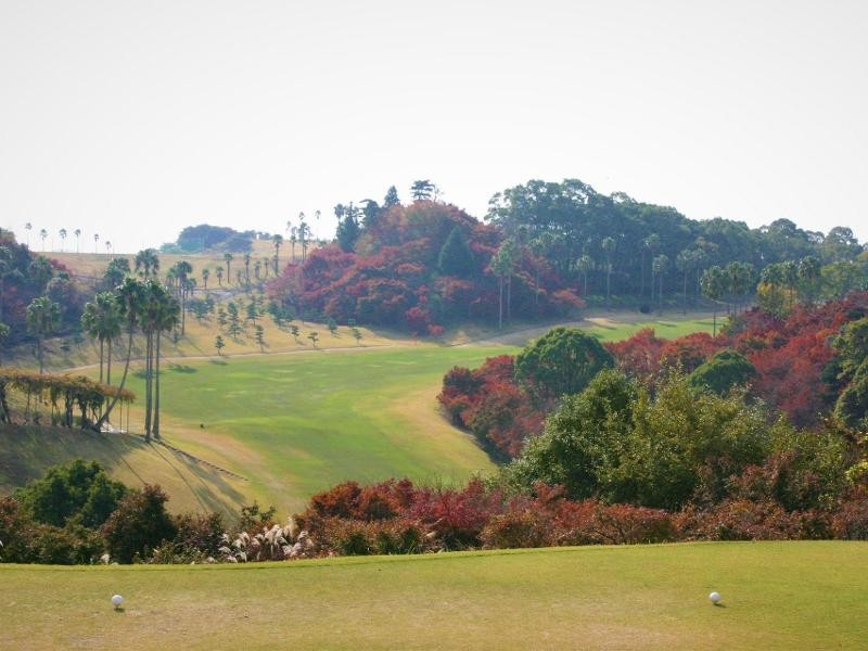 奥道後ゴルフクラブのコース風景