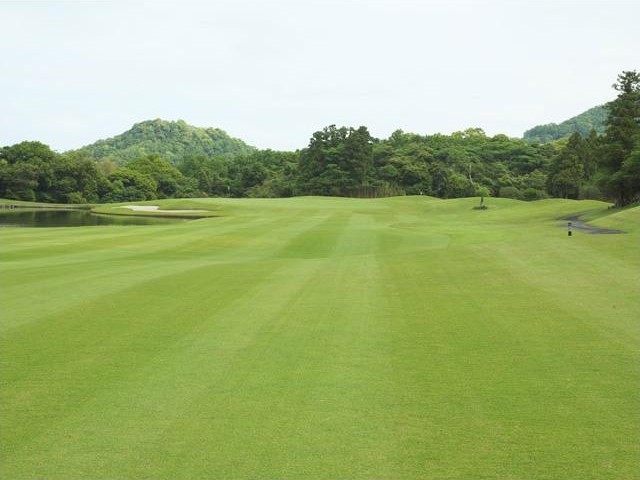 野母崎ゴルフクラブのグリーン周り