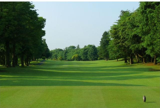 千代田カントリークラブ　【ＧＲＡＮＤ　ＰＧＭ】のコース風景