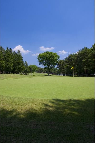 太平洋クラブ 益子PGAコースのコース風景