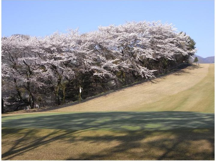 伊香保国際カンツリークラブのコース全景