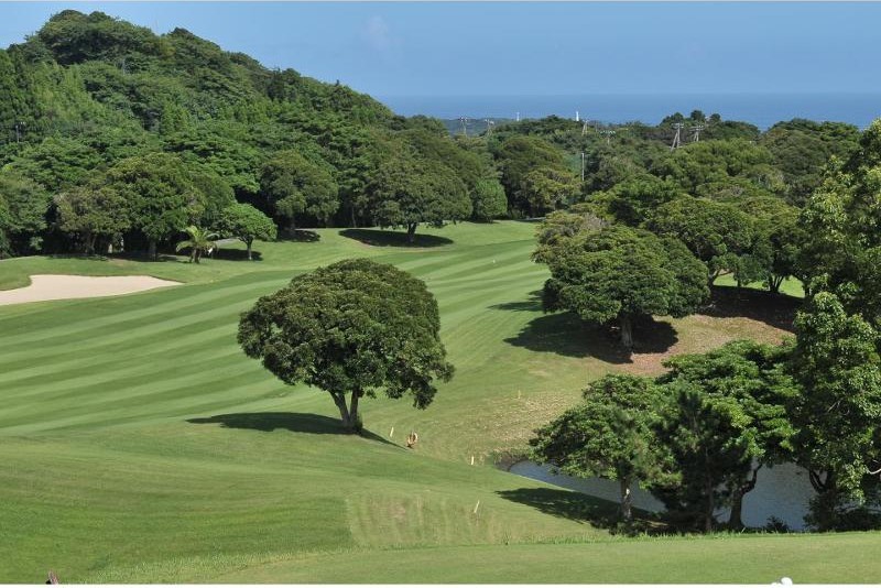 勝浦ゴルフ倶楽部のコース風景