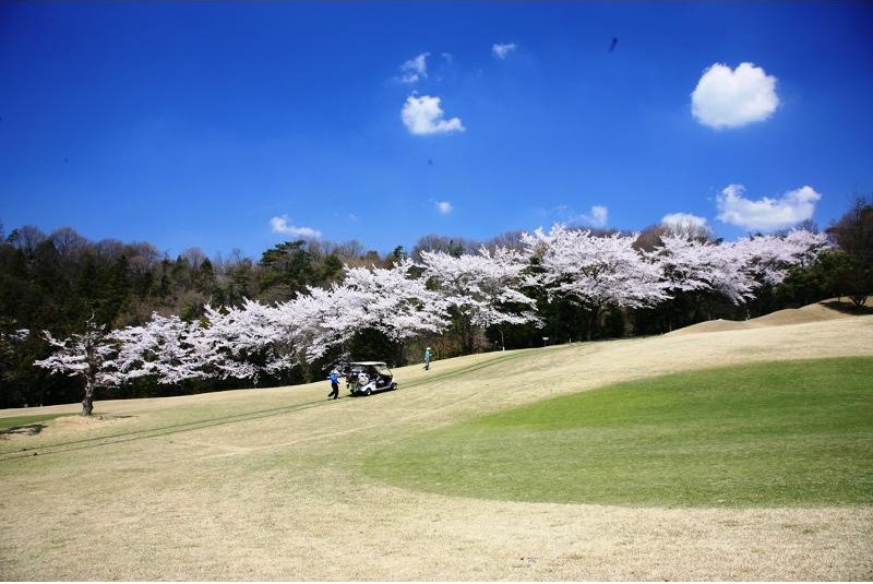 明世カントリークラブのコース全景