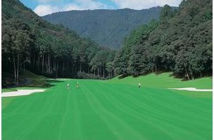 レイク浜松カントリークラブのコース風景