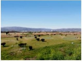 くずはゴルフリンクスのコース風景