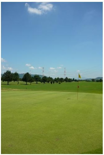 ベニーカントリー倶楽部のコース風景