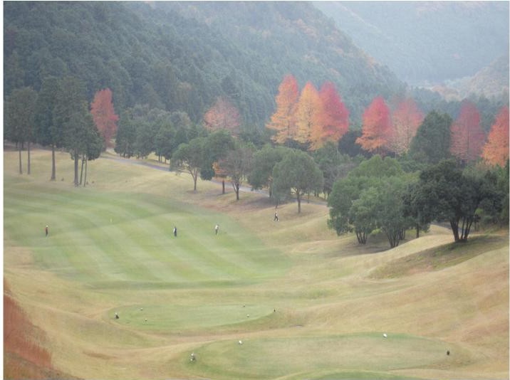 滝野カントリー倶楽部　八千代コースのコース風景
