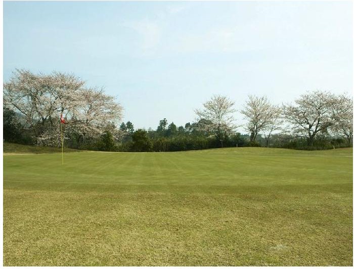 橋本カントリークラブのコース風景
