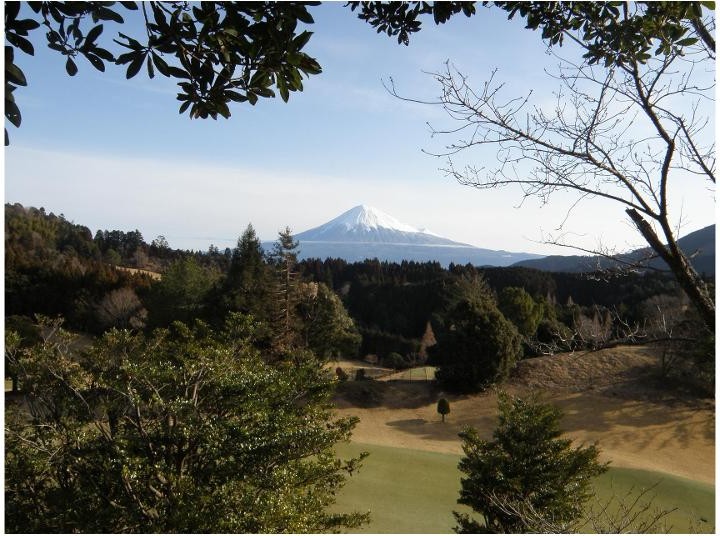 富士見ヶ丘カントリー倶楽部　シャトレーゼグループコースのコース風景